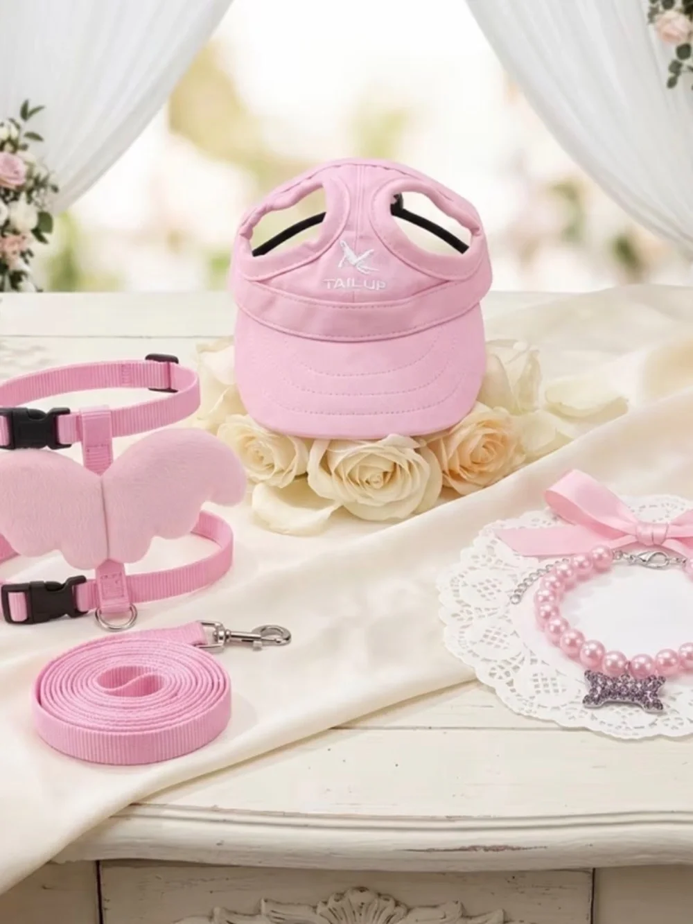 SMALL DOG COLLAR